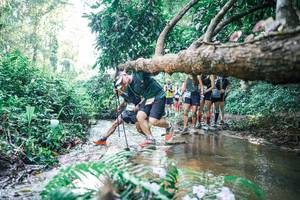 BIB: 
                            <button type="button" onclick="openModal(25449590)" class="btn btn-primary btn-sm float-right btn-popup" data-toggle="modal" data-target=".modal-high-quality">
                        <i class="fas fa-shopping-cart"></i> Add to Cart
                    </button>
                                            <button type="button" onclick="isThisMe(25449590, true)" class="btn btn-success btn-sm float-right btn-popup btn-isme hidden" data-toggle="tooltip" data-placement="bottom" title="นี่คือรูปของคุณใช่ไหม คลิกที่นี่เพื่อเอาเข้าอัลบั้ม">
                        <i class="fas fa-plus"></i> Add to album
                    </button>
                    <button type="button" onclick="isThisMe(25449590, false)" class="btn btn-warning btn-sm float-right btn-popup btn-isnotme hidden">
                        <i class="fas fa-ban"></i> Remove from album
                    </button>